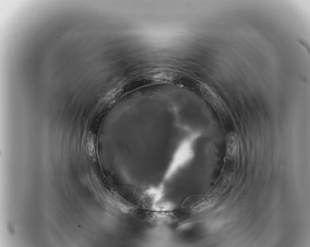 X0000095110573200712141155