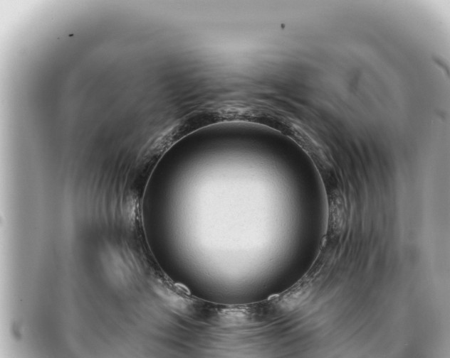 X0000095110574200712141155