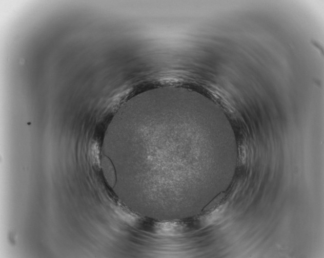 X0000095110575200712141155