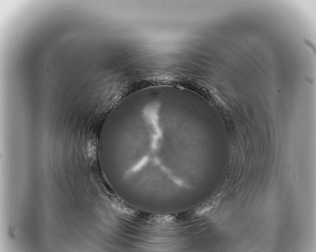 X0000095110576200712141155