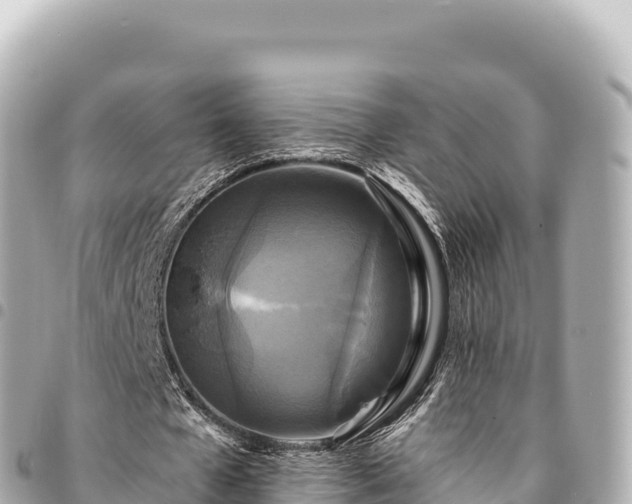 X0000095110577200712141154