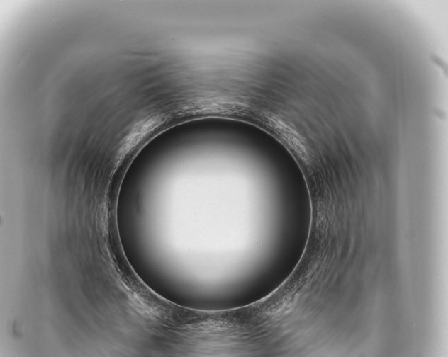 X0000095110578200712141154