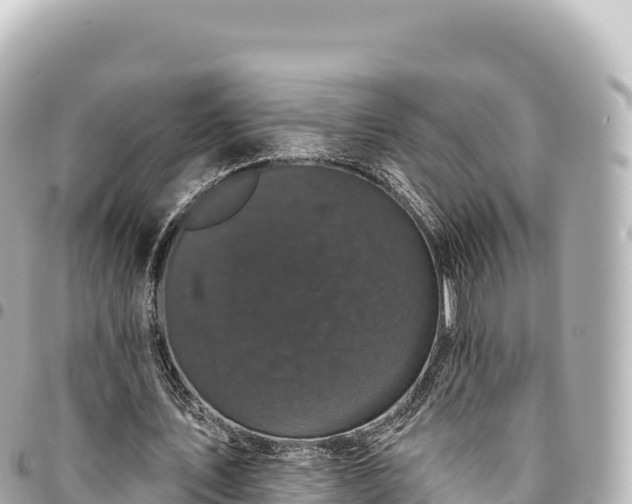 X0000095110579200712141154