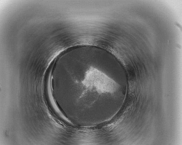 X0000095110580200712141154