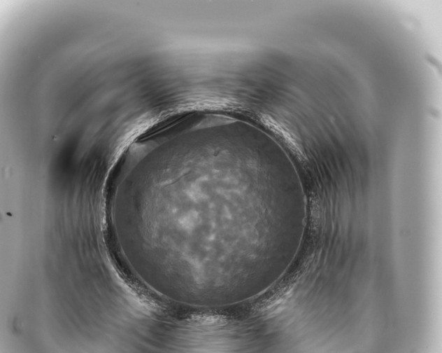 X0000095110582200712141154