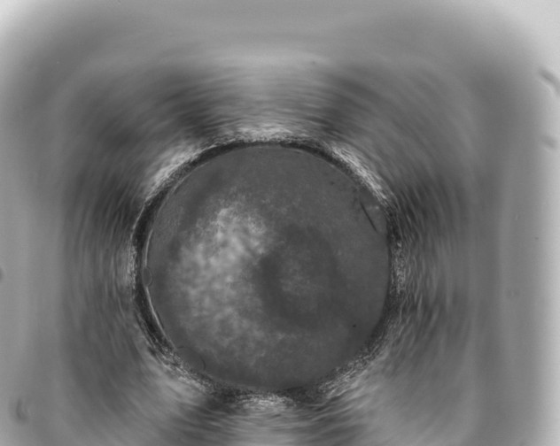 X0000095110583200712141154