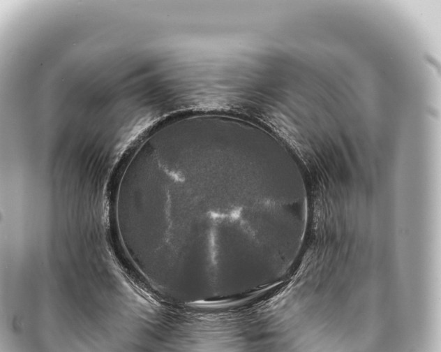 X0000095110584200712141154