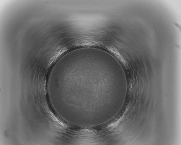 X0000095110585200712141154