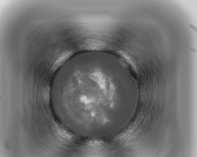 X0000095110586200712141154