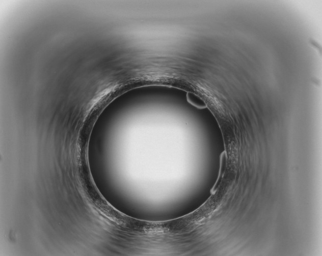 X0000095110587200712141154