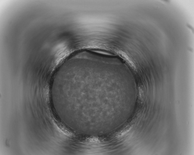 X0000095110588200712141154