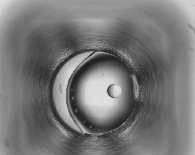 X0000095110589200712141154