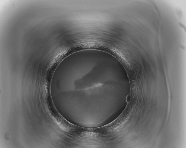 X0000095110590200712141154