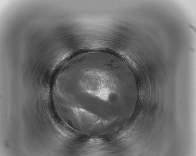 X0000095110591200712141154