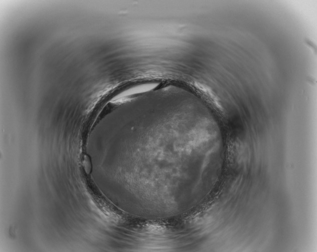 X0000095110592200712141154