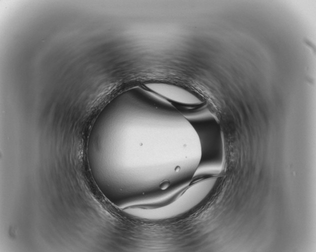 X0000095110593200712141154