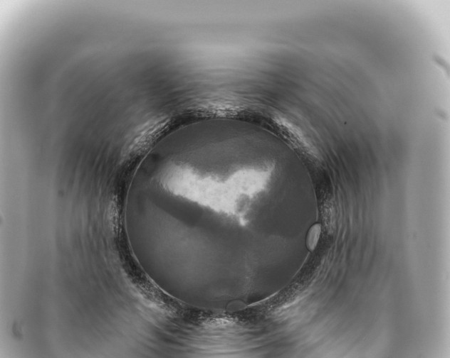 X0000095110594200712141154