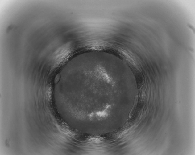 X0000095110595200712141154