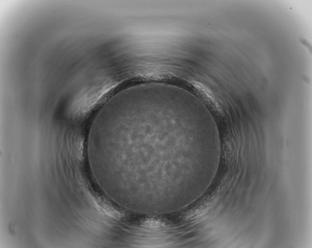 X0000095110596200712141154