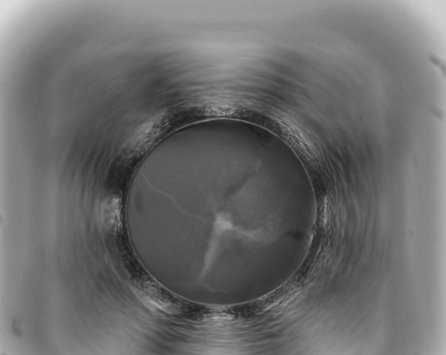 X0000095110598200712141154