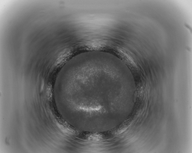 X0000095110599200712141154