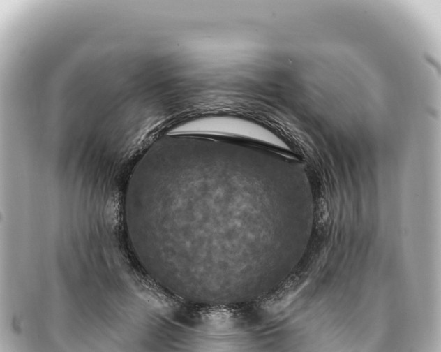 X0000095110600200712141154