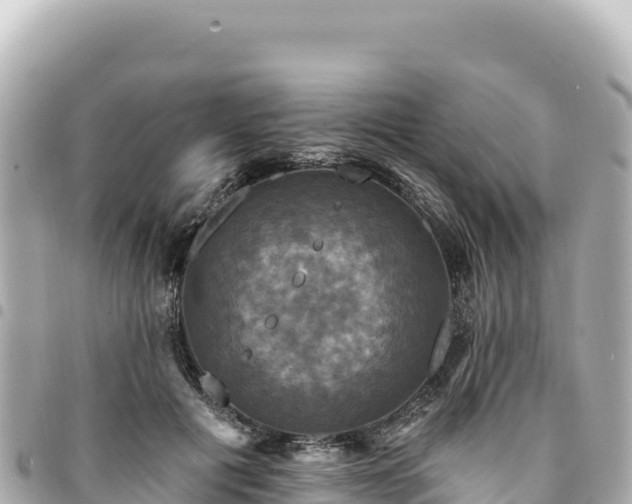 X0000095110601200712141154