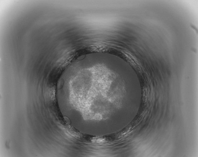 X0000095110602200712141154