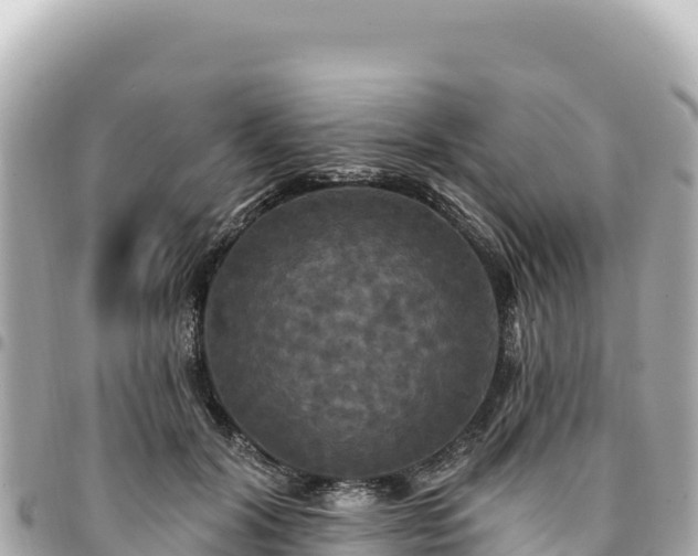 X0000095110604200712141154