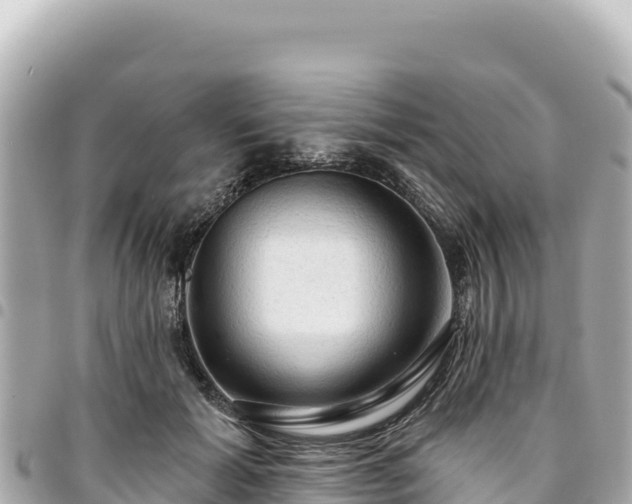 X0000095110605200712141154