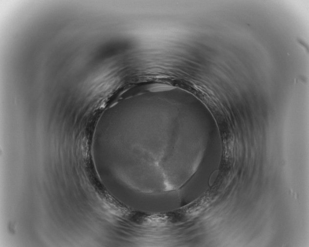 X0000095110606200712141154