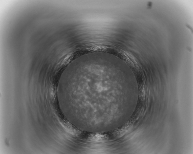 X0000095110607200712141154