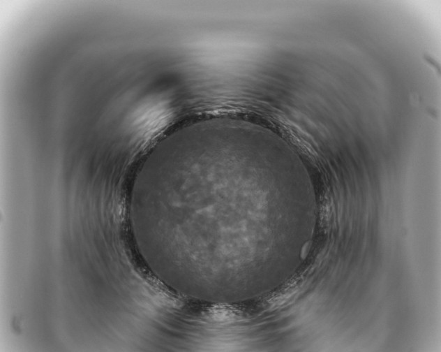 X0000095110608200712141154