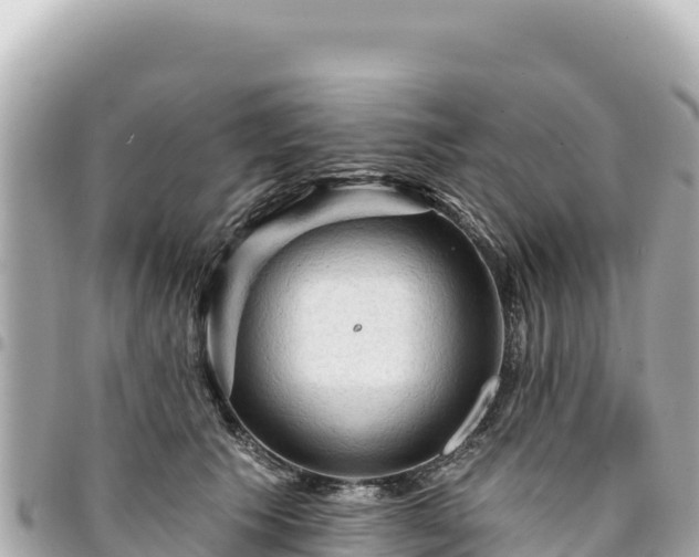 X0000095110609200712141154