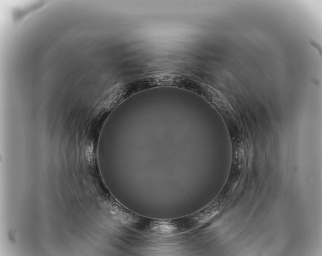 X0000095110610200712141154