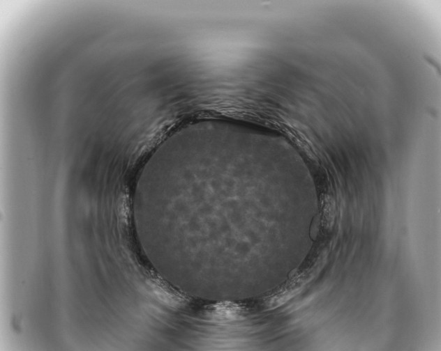 X0000095110612200712141154