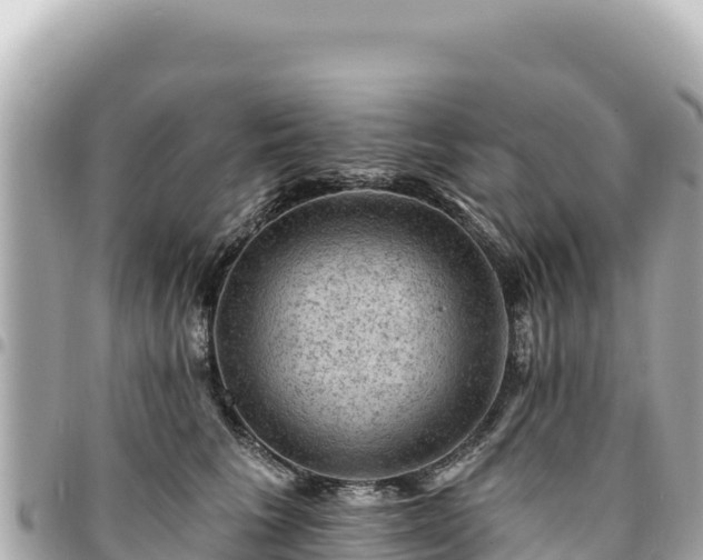 X0000095110613200712141153