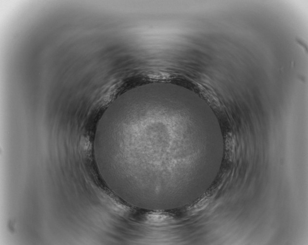 X0000095110614200712141153