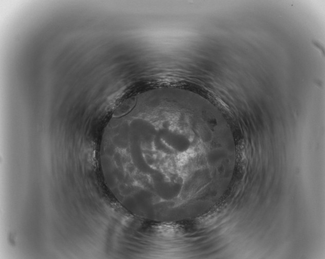 X0000095110615200712141153