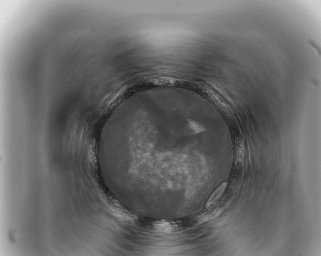 X0000095110616200712141153