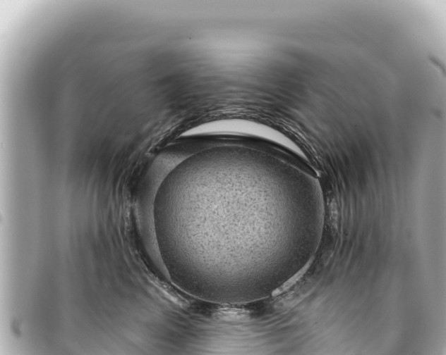 X0000095110617200712141153