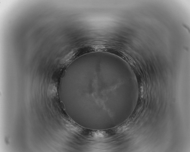 X0000095110618200712141153