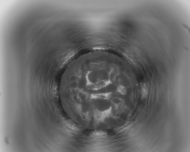 X0000095110619200712141153