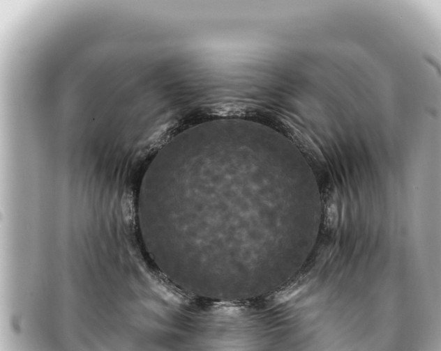 X0000095110620200712141153