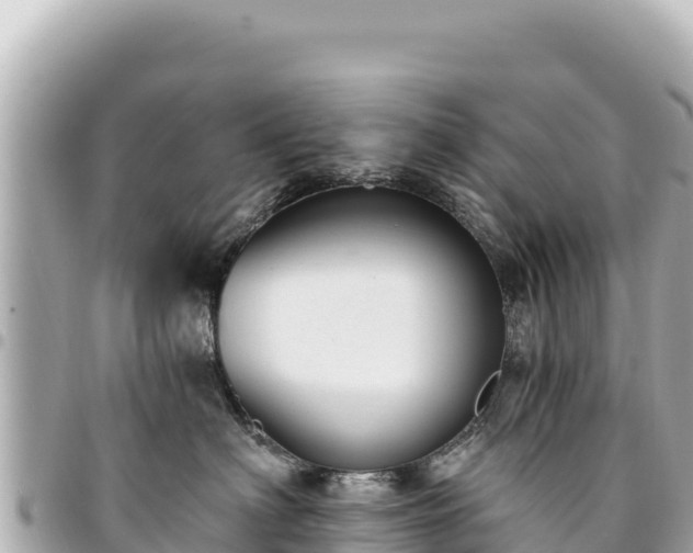 X0000095110622200712141153