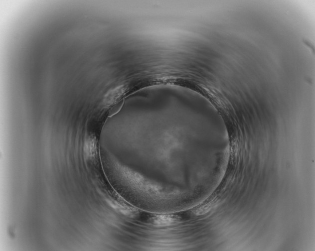 X0000095110623200712141153