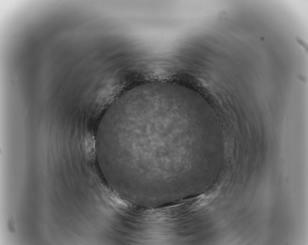 X0000095110624200712141153