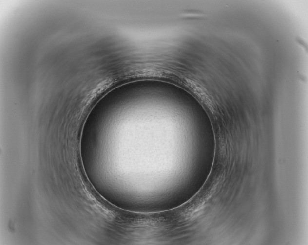 X0000095110625200712141153