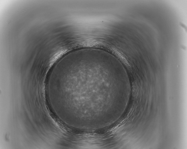 X0000095110626200712141153