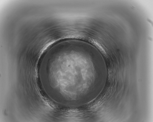 X0000095110628200712141153